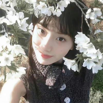 疯狂的麦咭第八季