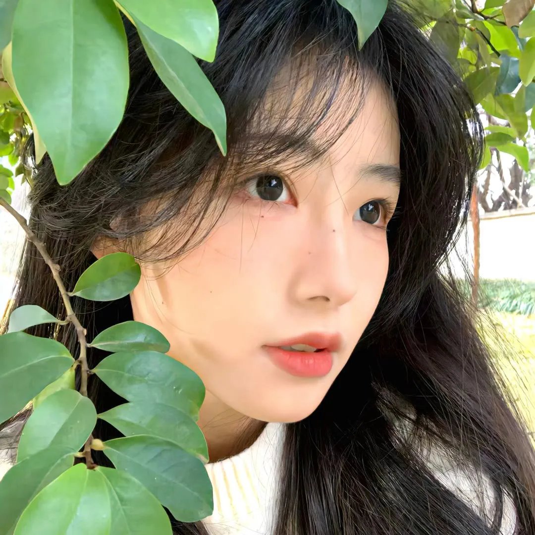 梦游天宫