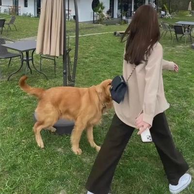 女武神的餐桌第一季